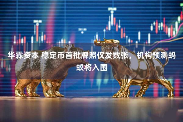 华霖资本 稳定币首批牌照仅发数张，机构预测蚂蚁将入围