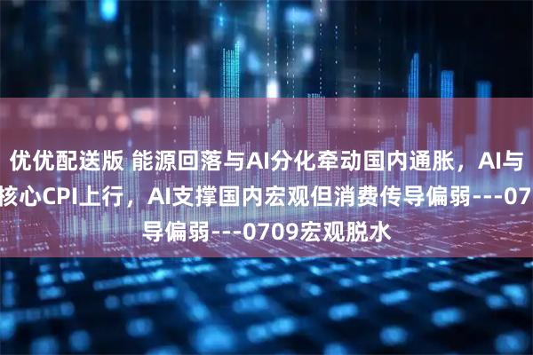 优优配送版 能源回落与AI分化牵动国内通胀，AI与能源推动美核心CPI上行，AI支撑国内宏观但消费传导偏弱---0709宏观脱水