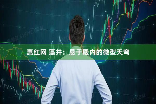 惠红网 藻井：悬于殿内的微型天穹